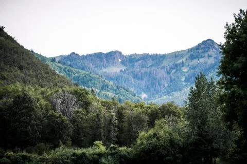 Green mountain lanscape Foto stock