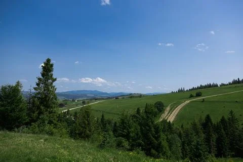 Green mountain meadow with pine forest and mountain range under blue sky 스톡 사진