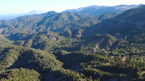 Green mountain over rich pine forest in Arta Greece available in 4k 動画素材 315471276