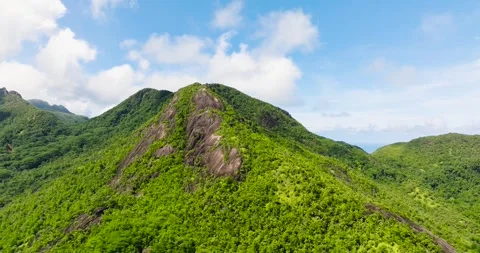 Green mountain peaks under a clear blue sky. Seychelles, Mahe. 스톡 동영상 345385710