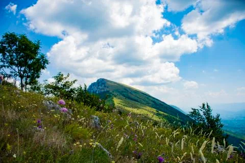 Green mountain Fotos Stock