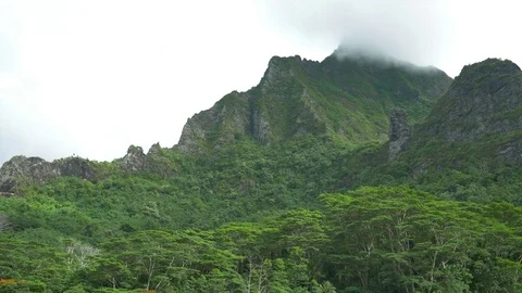 Green Mountain Range In Fog Stock Footage 79734584