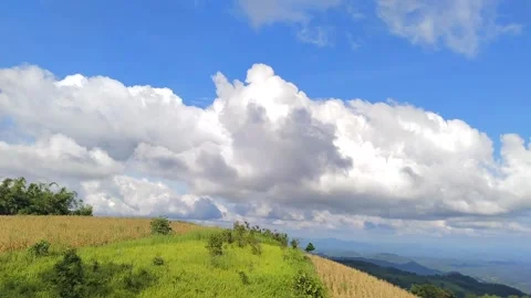 Green Mountain Ridge: Cumulus Clouds over Highland Terrain Stock Footage 339270102