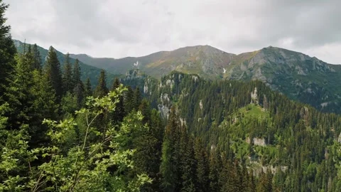 Green mountain ridges under a cloudy sky, with the wind rustling through the Video stock 303907359