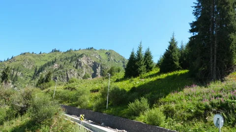 Green mountain slope with pine trees and road on sunny day Stock Footage 337833575