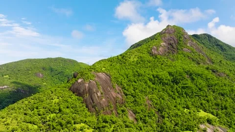 Green mountain slope under bright sunlight. Seychelles, Mahe. Stock Footage 305851103