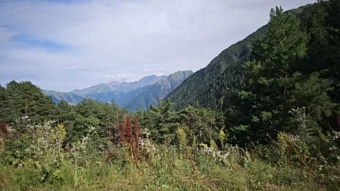 Green Mountain Slopes and Summer Nature Landscape Video stock 330634552