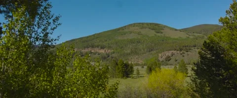 Green mountain surrounded by Aspen trees Stock Footage 163555717