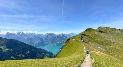 Green mountain with trail Photos
