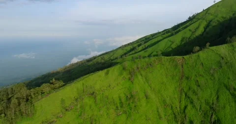 Green mountain with trees under cloudy sky seen from above Stock Footage 266881736