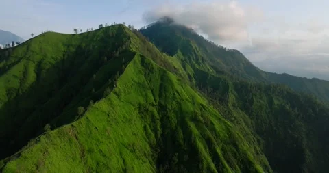 Green mountain with trees under cloudy sky seen from above 動画素材 266881805