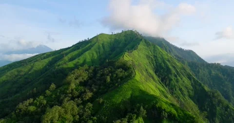 Green mountain with trees under cloudy sky seen from above Stock Footage 266881837