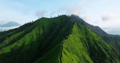 Green mountain with trees under cloudy sky seen from above Video stock 266881875