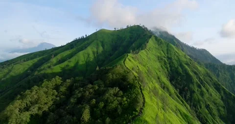 Green mountain with trees under cloudy sky seen from above Stock Footage 268400365