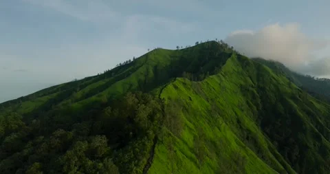 Green mountain with trees under cloudy sky seen from above Stock Footage 268400489