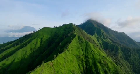 Green mountain with trees under cloudy sky seen from above Stock Footage 269516489