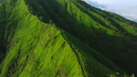 Green mountain with trees under cloudy sky seen from above Stock Footage 310385998