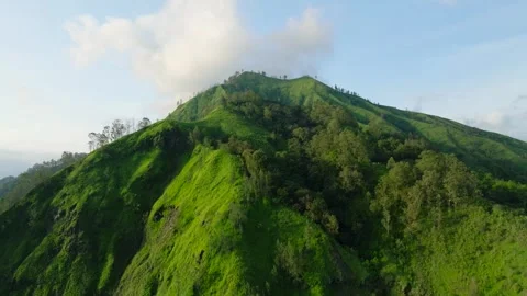 Green mountain with trees under cloudy sky seen from above Stock Footage 310386413