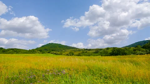 Green mountain valley with grass Stock Footage 299710250
