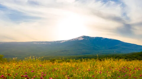 Green mountain valley at the sunset Stock Footage 319073789
