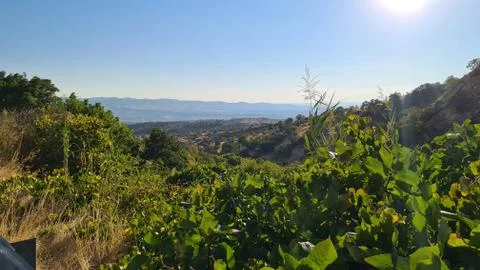 Green Mountain View Stock Photos