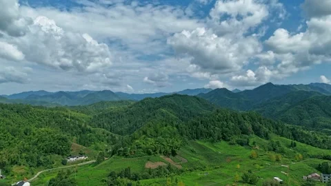 Green mountain village forest cloud mist delayed Stock Footage 282239581
