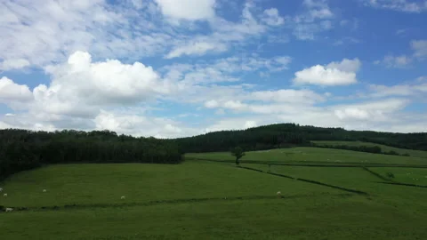 Green mountains and cows Stock Footage 164236211