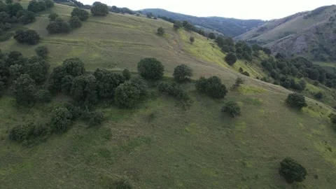 Green mountains and sparse trees Stock Footage 228825170