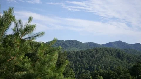 Green mountains and trees Stock Footage 282670756