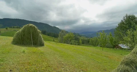 Green mountains. Cloudy sky and hills meadow. Panning. Forest in the mountains 動画素材 77278325