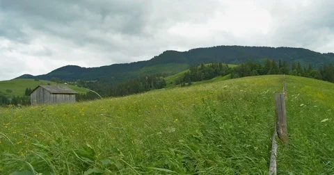 Green mountains. Cloudy sky and hills meadow. Panning. Forest in the mountains Stock Footage 77280286
