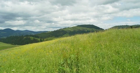 Green mountains. Cloudy sky and hills meadow. Panning. Forest in the mountains Stock-Footage 77280999