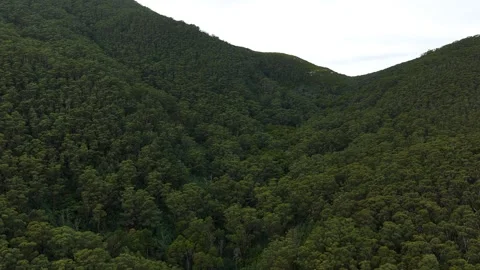 Green Mountains, Drone Shoot, 6K Vídeos de archivo 333767718