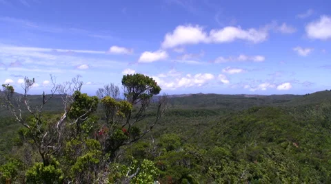 Green Mountains Stock Footage 6525962