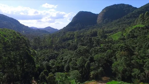 Green mountains Stock Footage 106852312