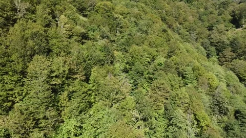 Green mountains Stock Footage 253379669
