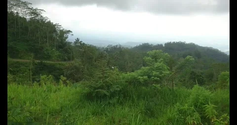 Green mountains Stock Footage 289041059