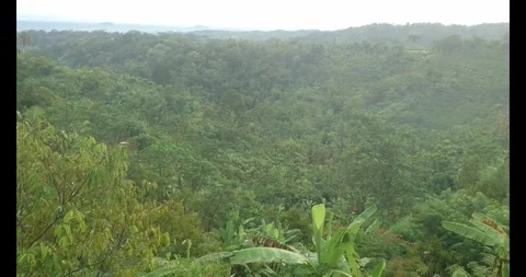 Green mountains Video stock 289041711