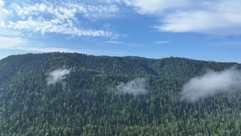 Green Mountains, Forests, Blue Sky, White Clouds Filmed With Drone Stock Footage 259699013