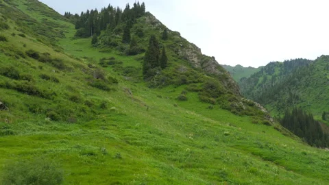Green mountains landscape Video stock 289120766