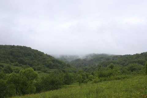 Green mountains Foto stock