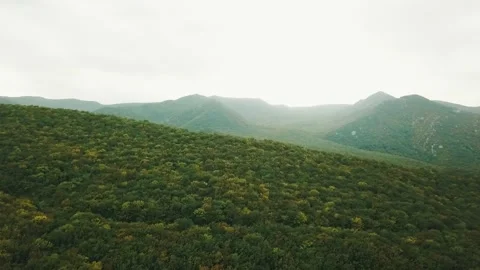 The green mountains of the south Stock Footage 173081592