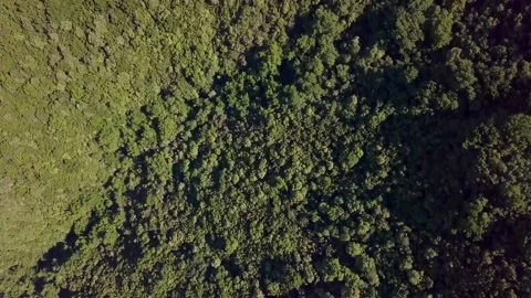 Green mountains1 動画素材 140323579