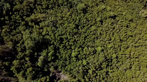 Green mountains10 動画素材 140414572
