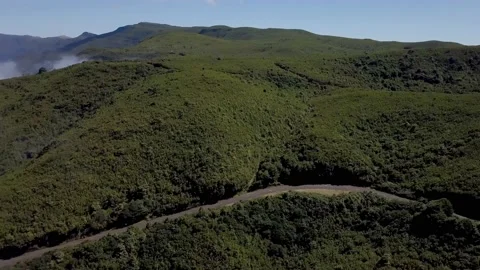 Green mountains4 動画素材 140403207