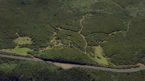 Green mountains6 動画素材 140403330