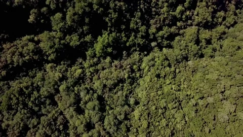 Green mountains8 動画素材 140414566