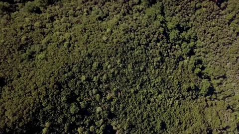 Green mountains9 Stock Footage 140414567