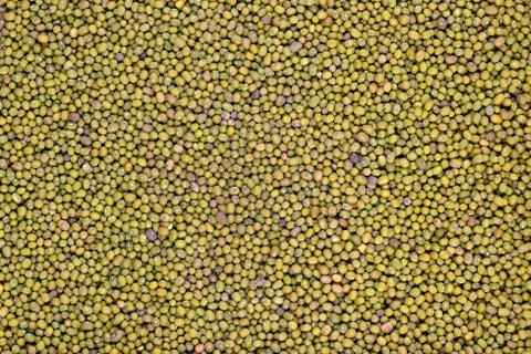 Green mung beans background Stock Photos