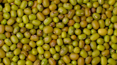 Green mung beans top view rotation Stock Footage 139095743